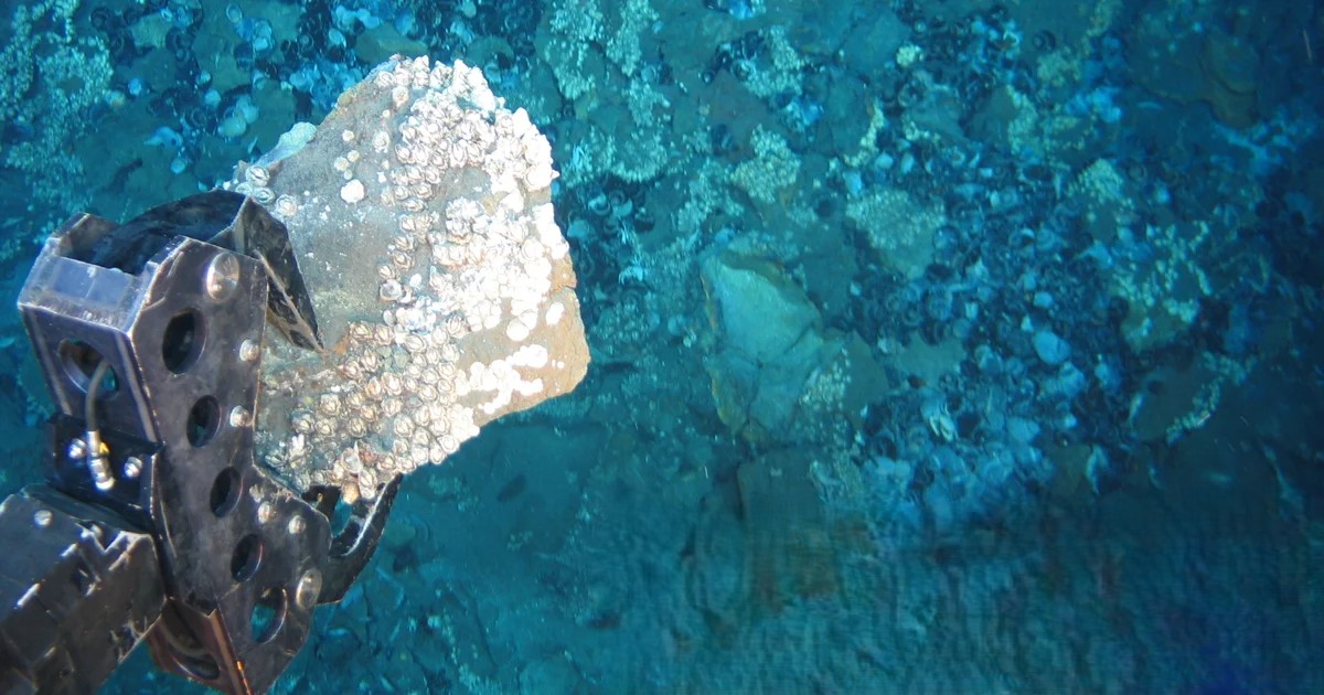 Utvinning av mineraler och metaller från havsbotten.