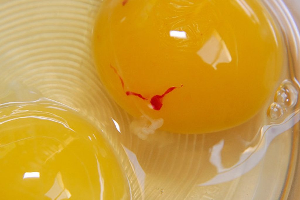 En röd fläck på ett ägg.