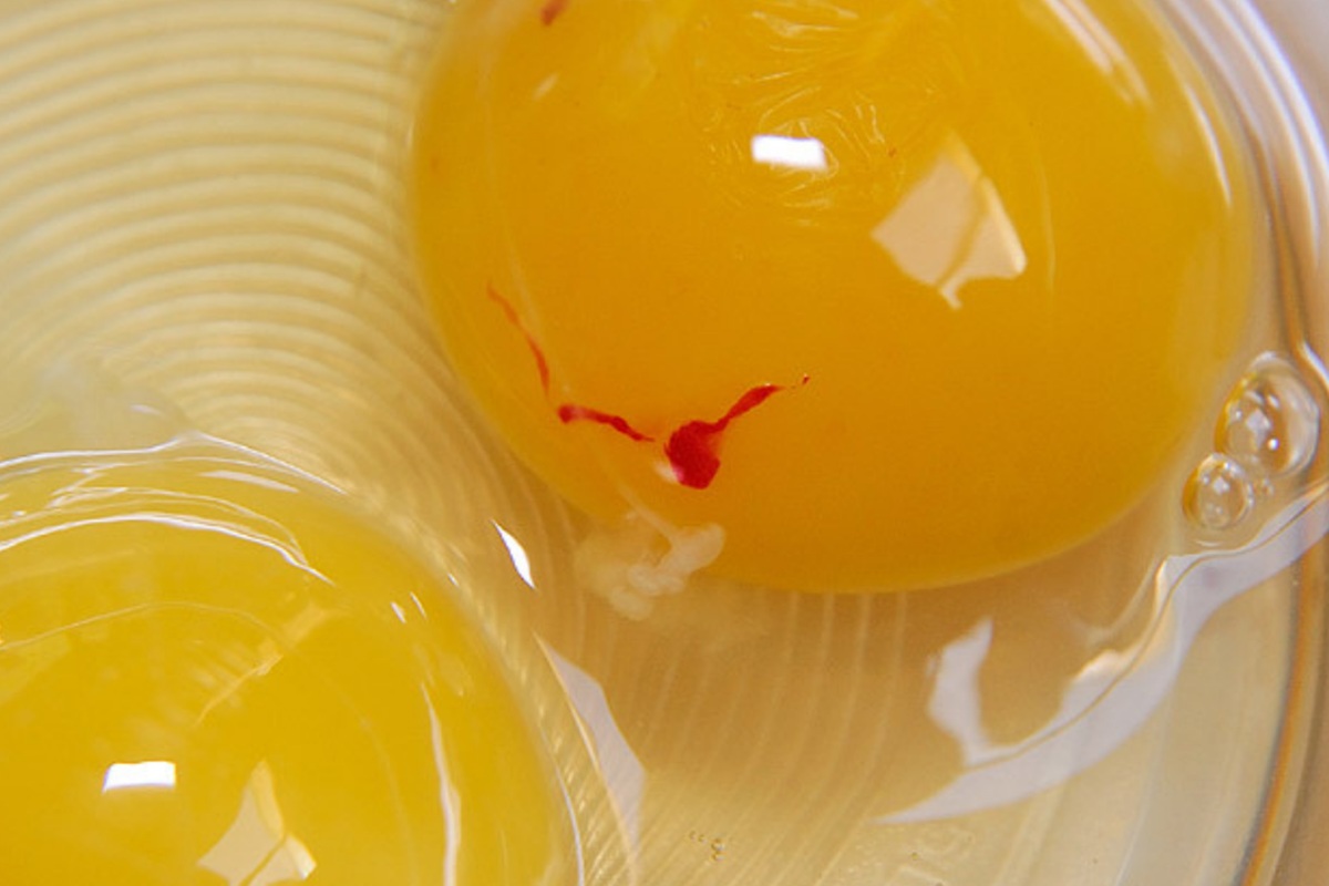 En röd fläck på ett ägg.